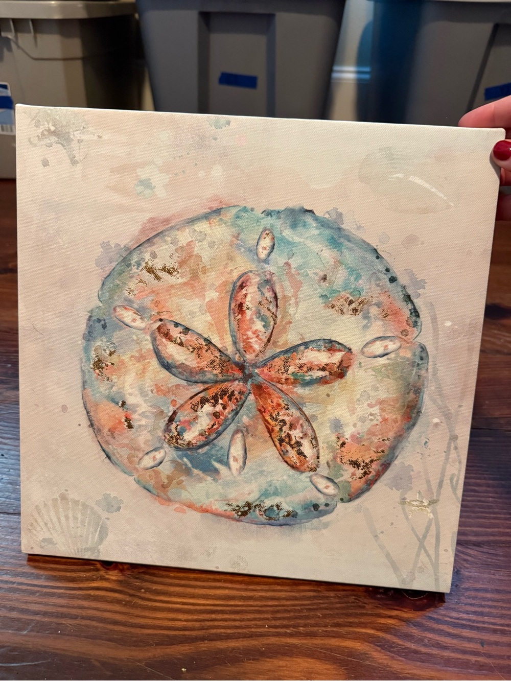 Coastal Sand Dollar Wall Art - Multicolor